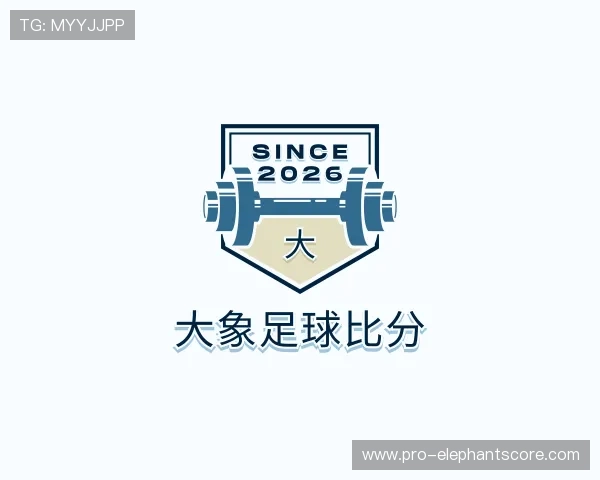 了解大象足球比分